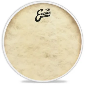 Top-Qualität Evans 18" Calftone Tom Fell TT18C7