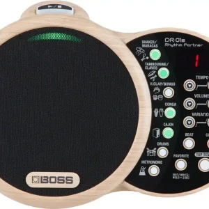 Letzte Chance Boss DR-01S Rhytm Partner Drumcomputer,DR01S mit Lautsprecher und 18 Sounds