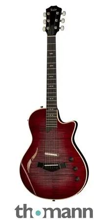 Taylor T5z Pro GV Abverkauf