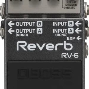 RV-6 Reverb Top-Preis
