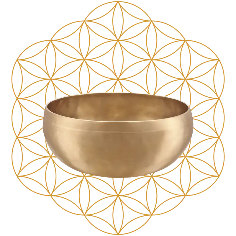 Sonic Energy Synthesis Serie Flower of Life Klangschale 1000g Top-Qualität