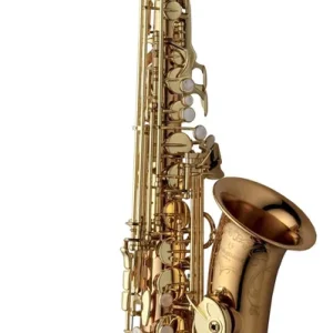 A-WO20 Altsaxophon Bronze Elite Schnäppchen