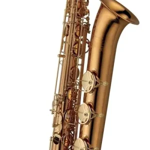 Baritonsaxophon B-W02 Professional Sofort Bestellen