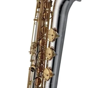 Baritonsaxophon B-W030BSB Elite Silberkorpus Schnäppchen