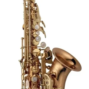 Angebot SC-W020 Elite Sopransaxophon