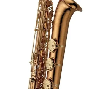 Baritonsaxophon B-W020 Elite Angebot