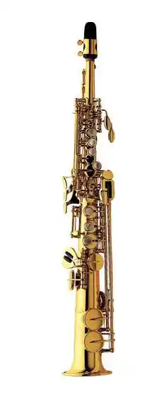 Direktkauf SN-981 Sopranino-Saxophon Artist, Messing